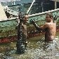 Relembre os últimos vazamentos de petróleo na costa do Brasil Relembre os últimos vazamentos de petróleo na costa do Brasil