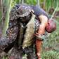 Exército atua em fronteira da Amazônia 