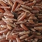 A hora e a vez dos pequenos produtores de arroz