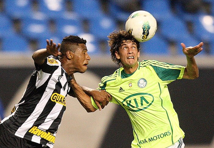 Com bela atuação de Barcos, Palmeiras vence Botafogo por 2 a 1 e respira no Brasileirão