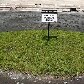 Obras no Itaquerão continuam a todo vapor; terreno é preparado para instalação do gramado Obras no Itaquerão continuam a todo vapor; terreno é preparado para instalação do gramado
