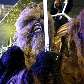 Personagens de filmes sobre espaço sideral estiveram presentes no desfile da Unidos da Tijuca