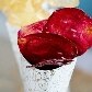 Não é só batata que é chips Não é só batata que é chips