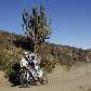 Espanhol Marc Coma passa pelo deserto chileno no Rally Dakar Espanhol Marc Coma passa pelo deserto chileno no Rally Dakar
