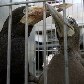 Ibama removeu os últimos animais da Fundação Jardim Zoológico de Niterói (ZooNit) Ibama removeu os últimos animais da Fundação Jardim Zoológico de Niterói (ZooNit)
