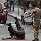 Fotógrafo flagra cenas de pancadaria em SP Fotógrafo flagra cenas de pancadaria em SP