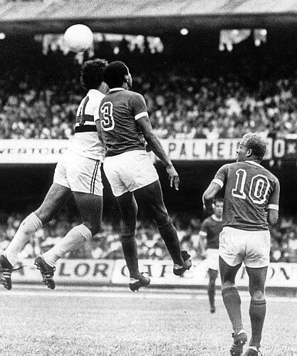 O eterno ídolo do Palmeiras