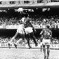 O eterno ídolo do Palmeiras