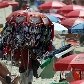 Sábado de 31ºC aumenta movimento na praia de Ipanema Sábado de 31ºC aumenta movimento na praia de Ipanema