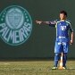 Crises no Palmeiras em 2011 Crises no Palmeiras em 2011
