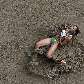 Naide Gomes cai na caixa de areia durante a prova do salto em distância no Mundial Naide Gomes cai na caixa de areia durante a prova do salto em distância no Mundial