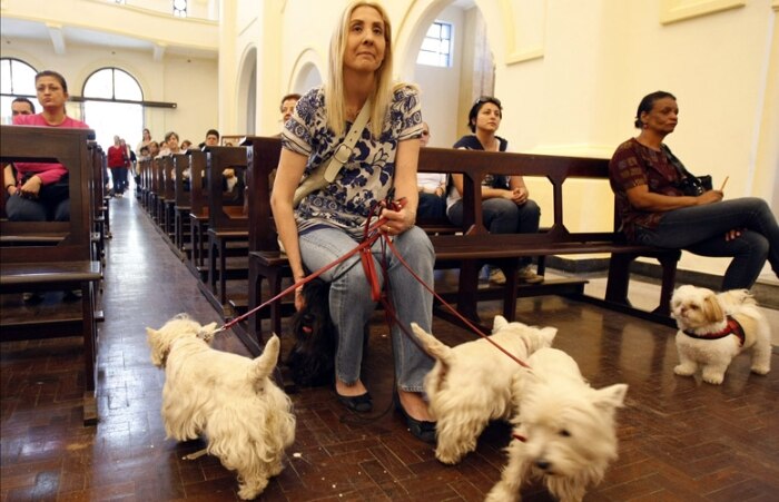 Vivian Mauro levou seus três cachorros para uma das missas de hoje, 4