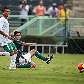 Deyvid Sacconi marca o gol do 1 a 0 para o Palmeiras sobre o Guarani