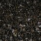 Torcida do Corinthians faz festa no Pacaembu em jogo com o Botafogo Torcida do Corinthians faz festa no Pacaembu em jogo com o Botafogo