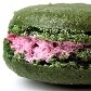 Hibisco, bissap, vinagreira, sépala, azedinha... É tudo broto do mesmo galho