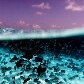 Atol das Rocas é a unidade de conservação marinha mais antiga do País