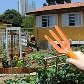 Morar na cidade não é mais desculpa para não ter uma hortinha em casa