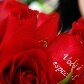Mensagens são escritas em pétalas das flores