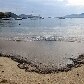 Ibama ignora 90% dos vazamentos em Ilha Grande Ibama ignora 90% dos vazamentos em Ilha Grande