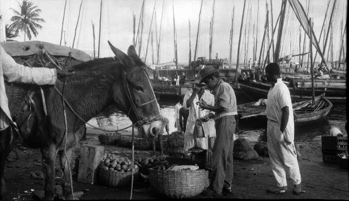 Exposição Família Ferrez, em São Paulo. Porto do mercado de Salvador, 1947