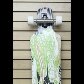 Tudo o que você deve saber para andar de skate por SP Tudo o que você deve saber para andar de skate por SP