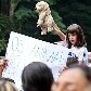 Manifestação contra maus-tratos a animais Manifestação contra maus-tratos a animais
