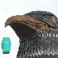 Gaviões da Fiel comemora rebaixamento palmeirense com churrasco em sua sede Gaviões da Fiel comemora rebaixamento palmeirense com churrasco em sua sede