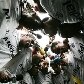 Corinthians volta à elite do futebol brasileiro Corinthians volta à elite do futebol brasileiro