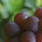 11 alimentos benéficos para o coração 11 alimentos benéficos para o coração