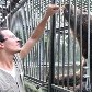 Zoológico de SP ganha urso-pardo e mais oito moradores