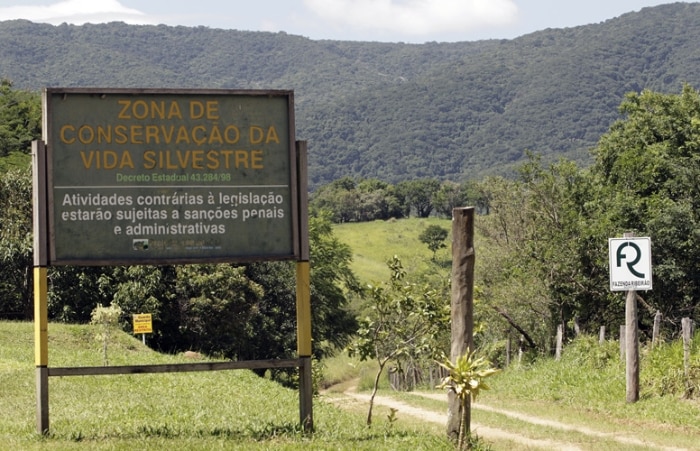 Animais são ameaçados por avanço de condomínios no interior de SP