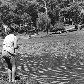 Parque da Aclimação