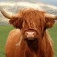 Fotos demonstram a visão de jovens sobre natureza e a poluição