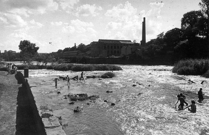 Conheça algumas curiosidades sobre o Rio Tietê