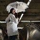 Conheça os produtos com a marca do Metrô de São Paulo