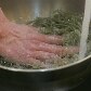 Passo a Passo Sobá: cozinhar e 