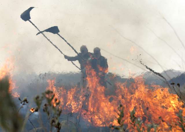 Incêndio no cerrado