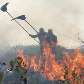 Incêndio no cerrado Incêndio no cerrado