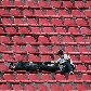 Sem brilho, São Paulo vence o Bragantino no Morumbi