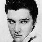 Os 30 Anos da Morte de Elvis Presley Os 30 Anos da Morte de Elvis Presley