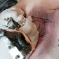 Tatuadores de todo o mundo se encontram em São Paulo Tatuadores de todo o mundo se encontram em São Paulo
