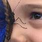 Morpho Azul pousa no rosto de uma criança de 5 anos, no Museu de História Natural de Londres Morpho Azul pousa no rosto de uma criança de 5 anos, no Museu de História Natural de Londres