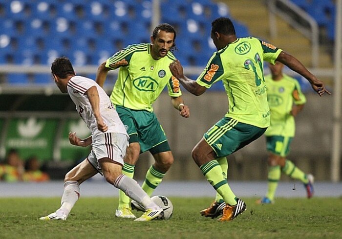 O Fluminense derrotou o Palmeiras no Engenhão e assumiu a vice-liderança do Brasileirão