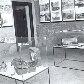 Casa do Tatuapé
