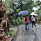 Saiba como se prevenir dos raios Saiba como se prevenir dos raios