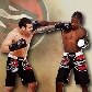 Álbum de figurinhas traz MMA como grande destaque Álbum de figurinhas traz MMA como grande destaque