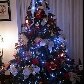 Não há limites para a decoração de Natal