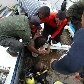 Embarcação naufraga em Ilha do Marajó, no Pará