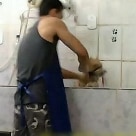 Veja casos de maus-tratos aos animais
