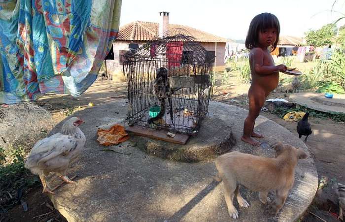 A redução de espaço para a caça e o número de animais, tirou a tranquilidade das tribos indígenas